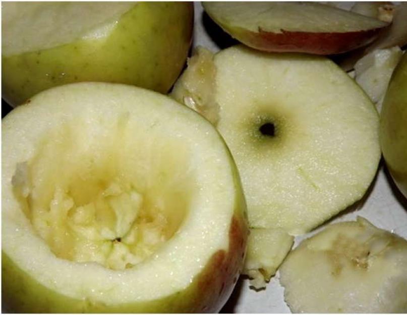 Запеченные яблоки в мультиварке нет режима выпечка. Яблоки, запеченные дольками в мультиварке – рецепт. Печеные яблоки в мультиварке с орехами