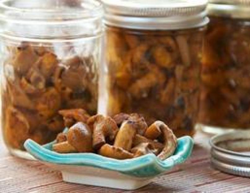 Recettes pour mariner les champignons au lait safrané.  Bouchons de lait au safran délicieux et sains.  Comment saler pour l'hiver