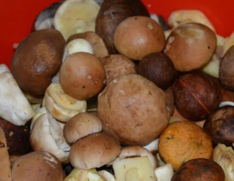 Консервирование грибов на зиму рецепты. Отварные коровники с овощами в уксусе и масле. Выбор классической машинки