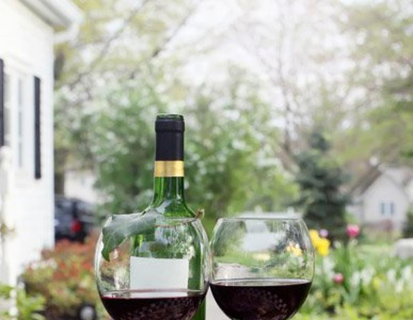 Рецепт вина из аронии в домашних условиях. Вино из черноплодной рябины в домашних условиях