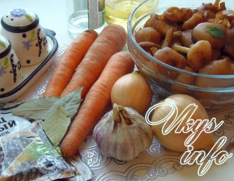 Рецепт грибной икры с морковью и луком. Грибная икра с морковью и луком. Пикантная грибная икра с луком и морковью