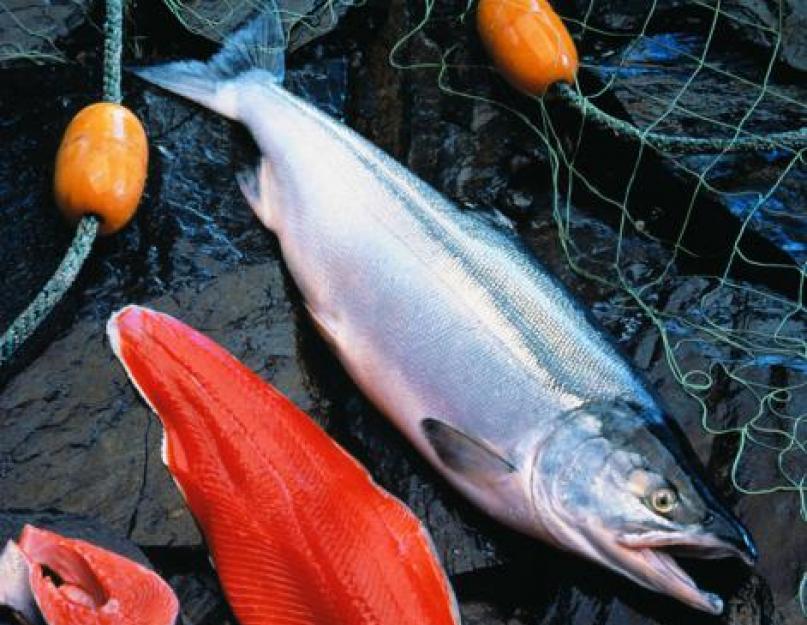 Est-il possible de saler du saumon rose surgelé ?  Comment mariner le saumon rose à la maison de manière savoureuse et rapide, de différentes manières.  Salage à sec classique du saumon rose à la maison