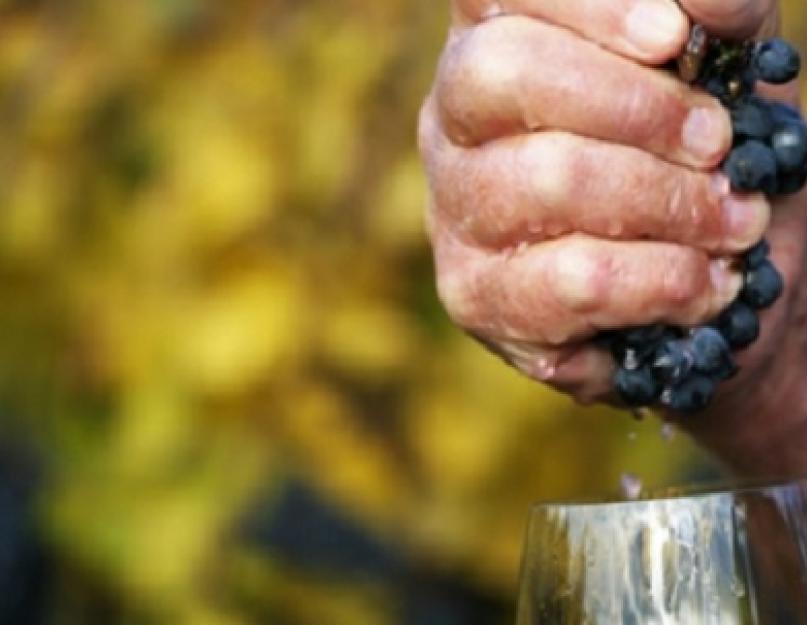 Какое вино понижает. Красное вино повышает или понижает давление — действие на организм. Белое вино и давление
