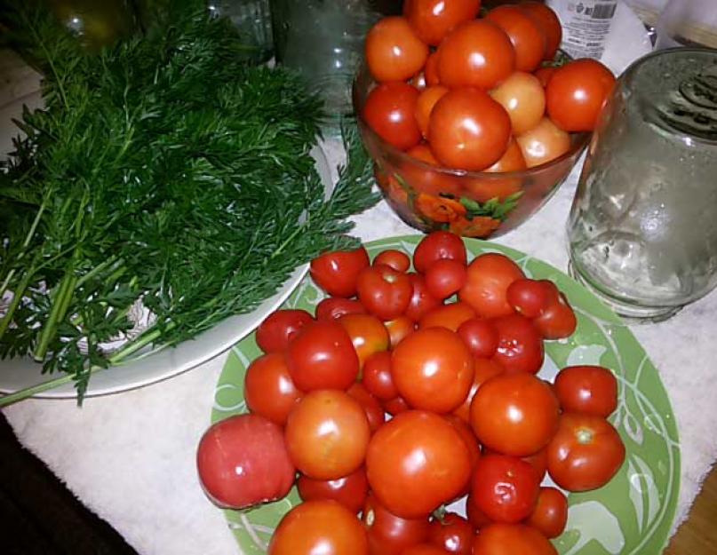 Tomates rouges avec fanes de carottes.  Recette de tomates d'hiver aux fanes de carottes.  Recettes de plats avec ajout de fanes de carottes