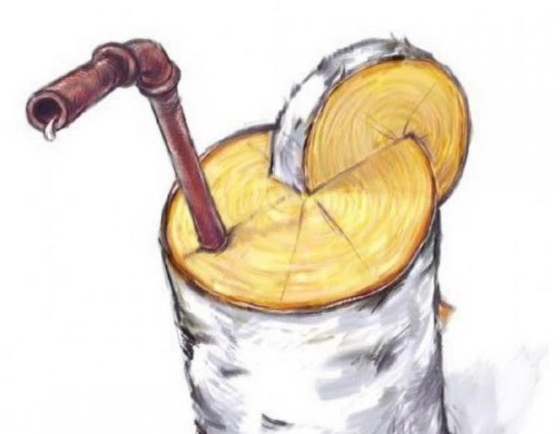 Рисунок березового сока
