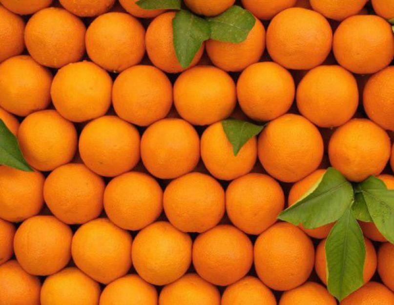 Nom hybride de pamplemousse et de mandarine.  Caractéristiques générales de l'hybride.  Contre-indications d'utilisation