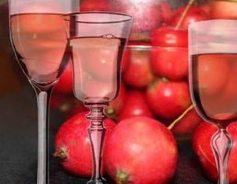 Вино из яблок пропорции. Вино из яблок в домашних условиях — простые рецепты приготовления яблочного вина