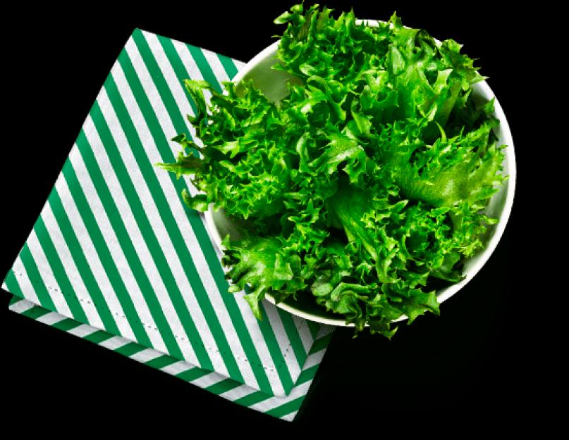 Виды зеленых салатов с шершавыми листьями. Виды зелёных салатов, листовые и кочанные сорта. В каких блюдах используется салатный лист