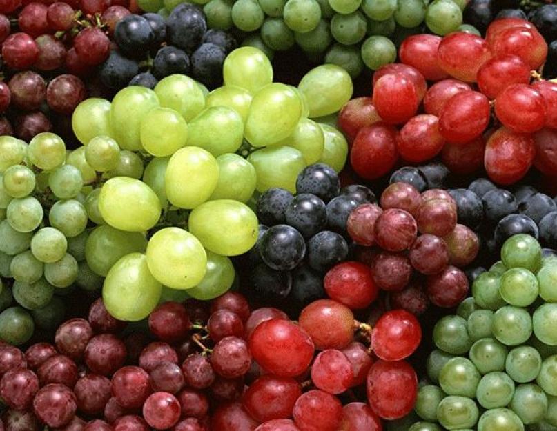 Как сделать компот из белого винограда. Какие сорта выбрать? Ингредиенты для компота из столового винограда