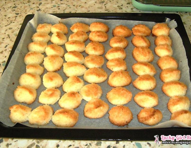 Biscuits à la pâte de coco.  Biscuits à la noix de coco : recettes.  Comment faire des cookies à la noix de coco ?  Décorer de glaçage au chocolat et servir