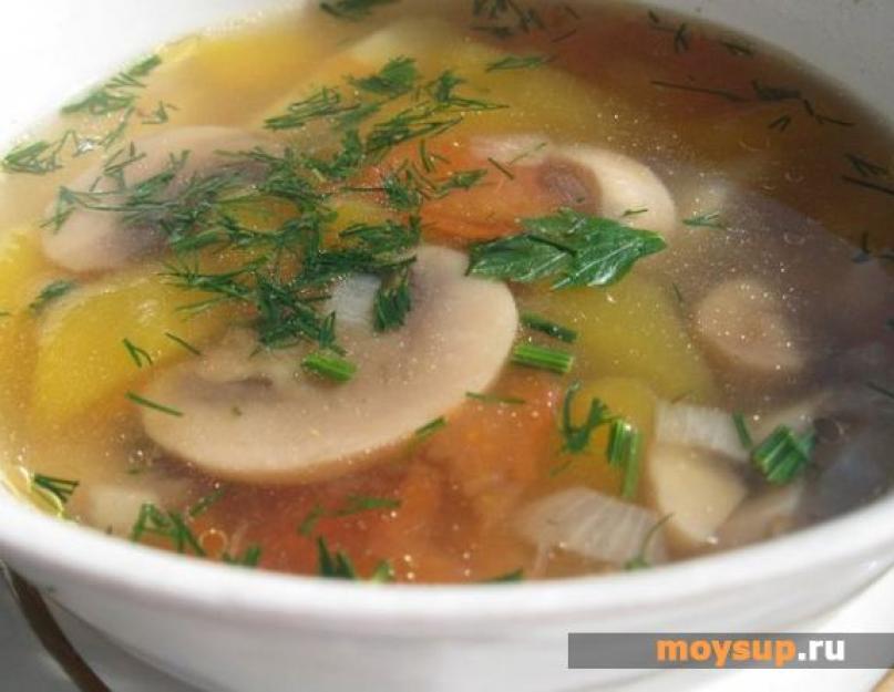 Сварить куриный суп с грибами. Суп-пюре с куриным мясом и грибами