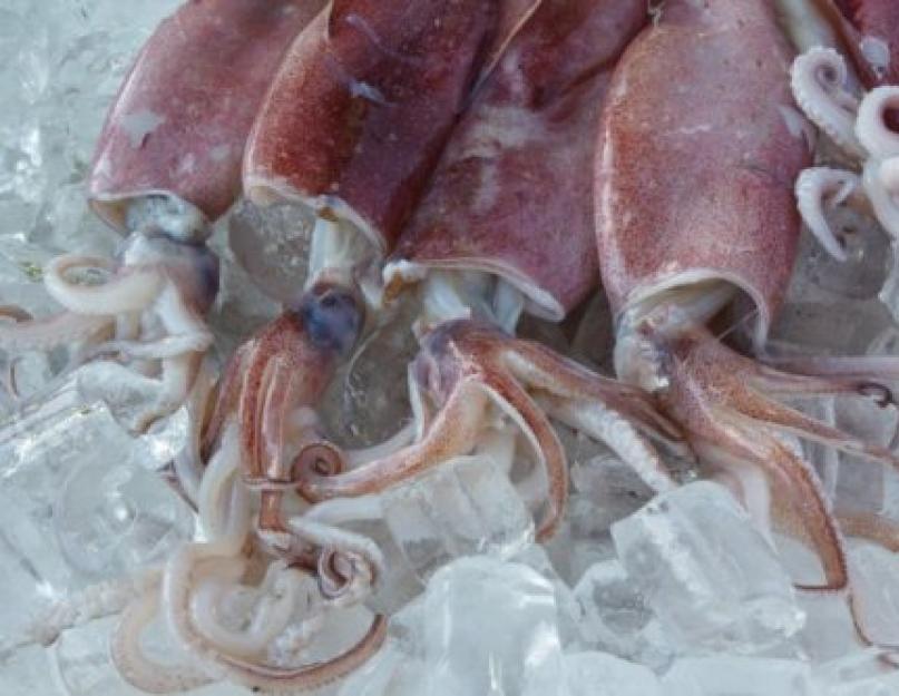 Варка кальмаров замороженных. Как подготовить морепродукт к варке. Как и сколько варить очищенные кальмары