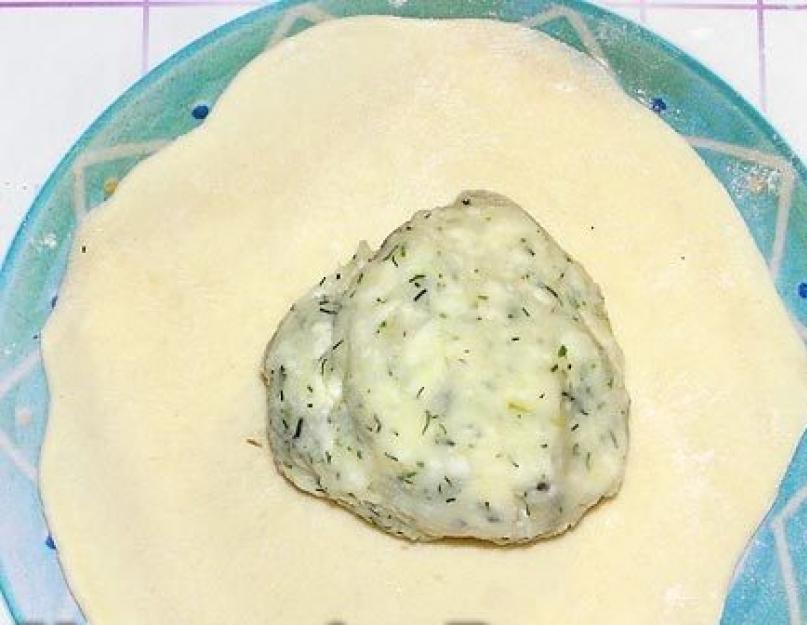 Хычины сырные на кефире. Как приготовить вкусные и сытные хычины – пошаговый рецепт с фото