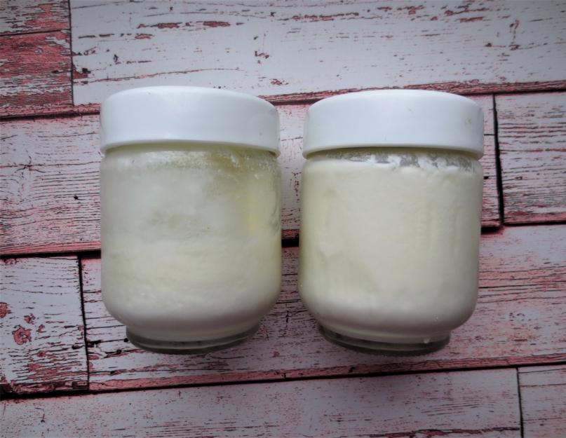 Закваска для йогурта для йогуртницы. Как сэкономить на закваске для приготовления домашнего йогурта? Подробно о закваске «Эвиталия»