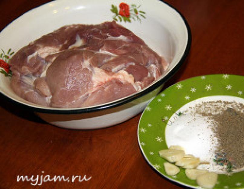 Запекание свинины в духовке в рукаве. Как приготовить мясо свинины в рукаве в духовке