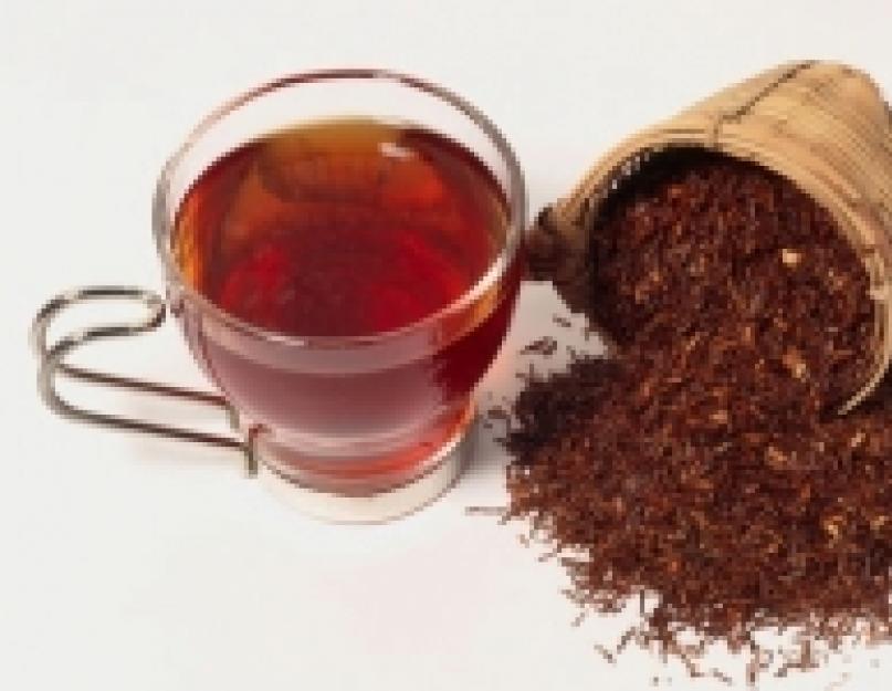 Африканский чай ройбуш: полезные свойства и противопоказания. Чай Ройбуш: описание, полезные свойства и противопоказания