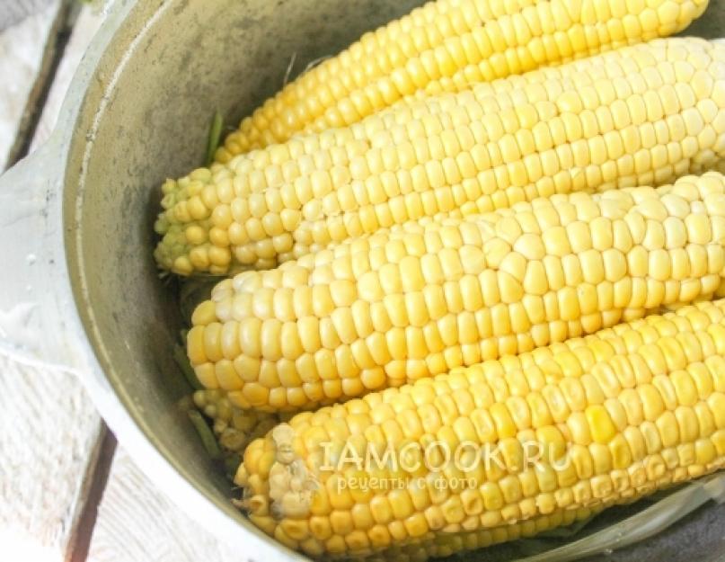 Всё о том, как консервировать кукурузу в домашних условиях на зиму: лучшие рецепты. Как законсервировать кукурузу в домашних условиях