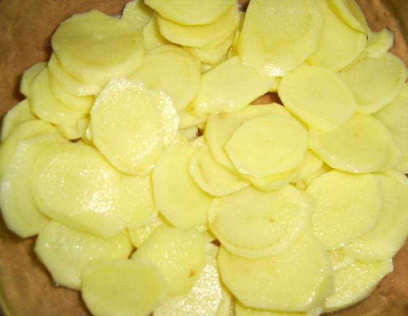 Минтай с картошкой в духовке пошагово. Минтай запеченный со сметаной и картофелем в духовке — рецепт с фото.