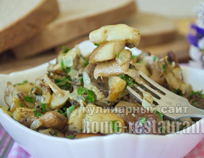 Cuisson des cèpes sur une petite cuisinière.  Comment bien cuire les cèpes