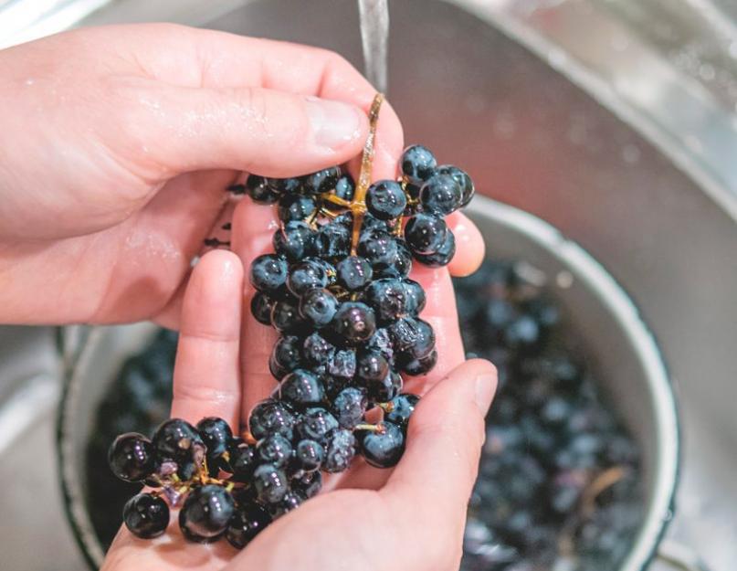 Как сделать вино из дерева. Как сделать дома вкусное вино? Полусухое красное из винограда