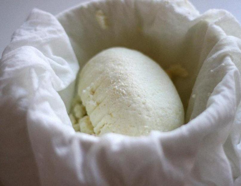 Сыр из козьего творога в домашних условиях рецепт с фото пошагово. Сыр из козьего молока в домашних условиях