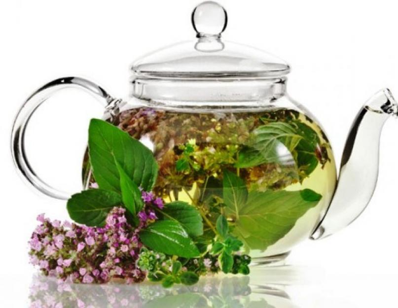 Иван чай — полезные и лечебные свойства для женщин и мужчин. В чем польза Иван-чая и чабреца с душицей