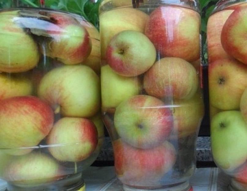Мочение яблок в домашних условиях антоновка. Моченые яблоки, простой и вкусный рецепт заготовки на зиму — видео-рецепт. Приготовление моченых яблок в банках с медом