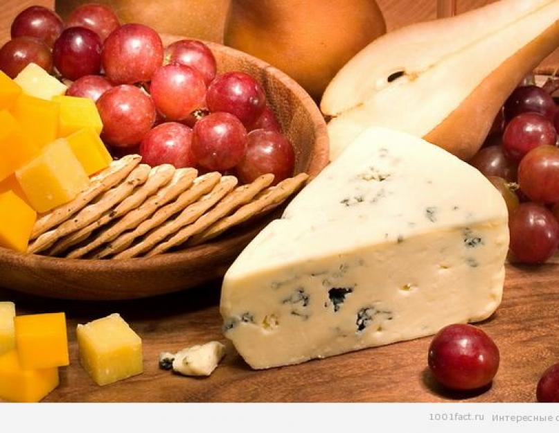 Кто придумал сыр с плесенью и чем он полезен? Сыр с благородной плесенью: история появления