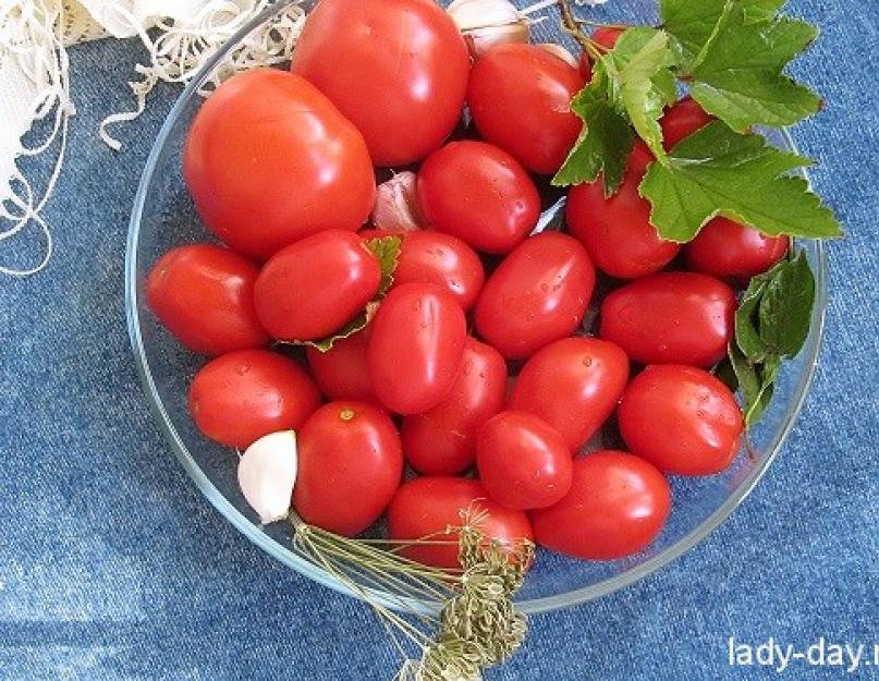 Как солить помидоры холодным способом: рецепты, советы, фото и видео. Засолка помидоров холодным способом