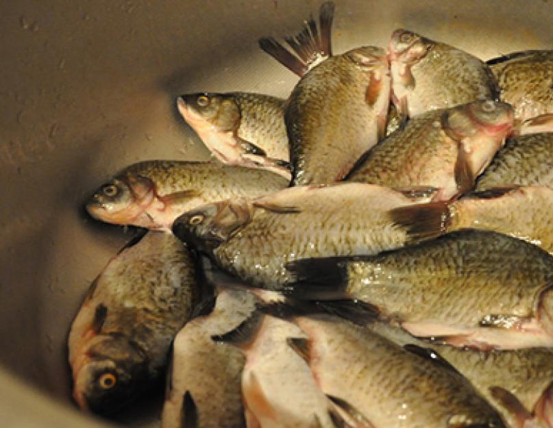 घर पर आटोक्लेविंग मछली।  आटोक्लेव में डिब्बाबंद मछली कैसे पकाएं।  घर पर आटोक्लेव में डिब्बाबंद मछली - युक्तियाँ और उपयोगी युक्तियाँ