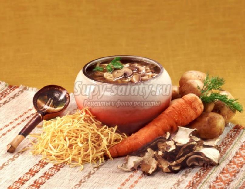 Можно ли варить суп из свежих грибов. Суп из свежих грибов — простой пошаговый рецепт с фото. Суп из шампиньонов со сливками