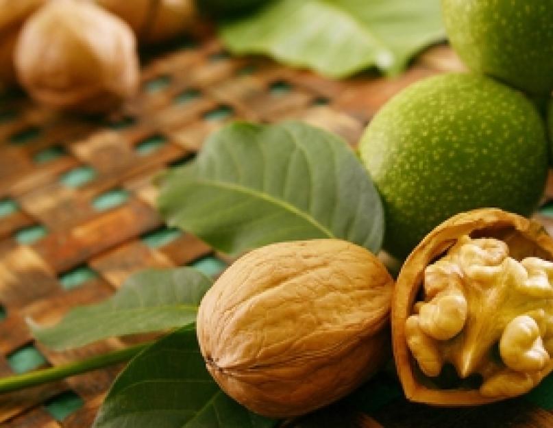 Грецкий орех зеленый настоять можно на масле. Грецкие орехи зеленые рецепт народной медицины. Для беременных и детей
