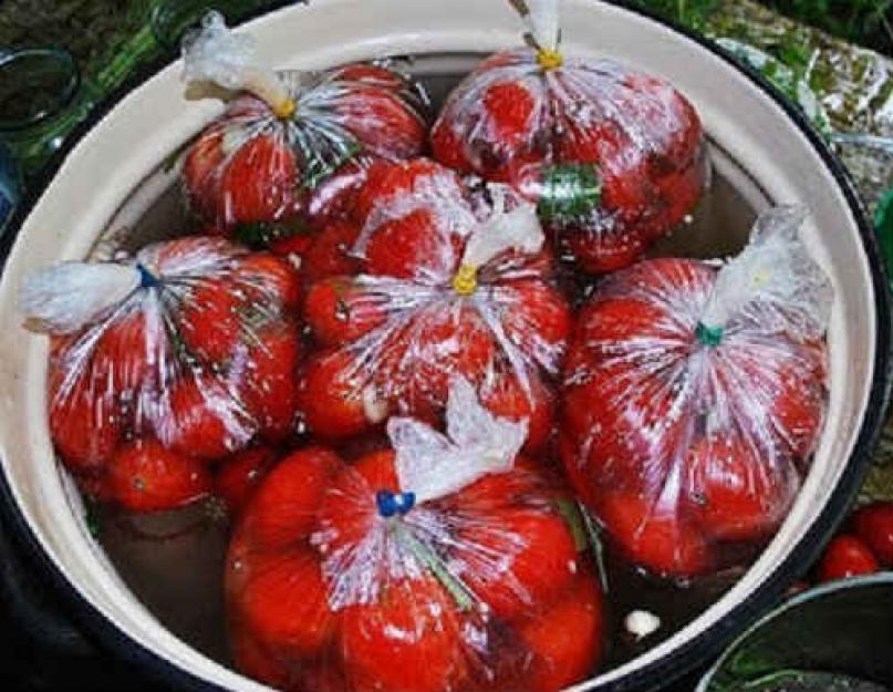 Recette de tomates légèrement salées en sachet.  Tomates légèrement salées dans un sachet.  Recette rapide de tomates légèrement salées en sachet