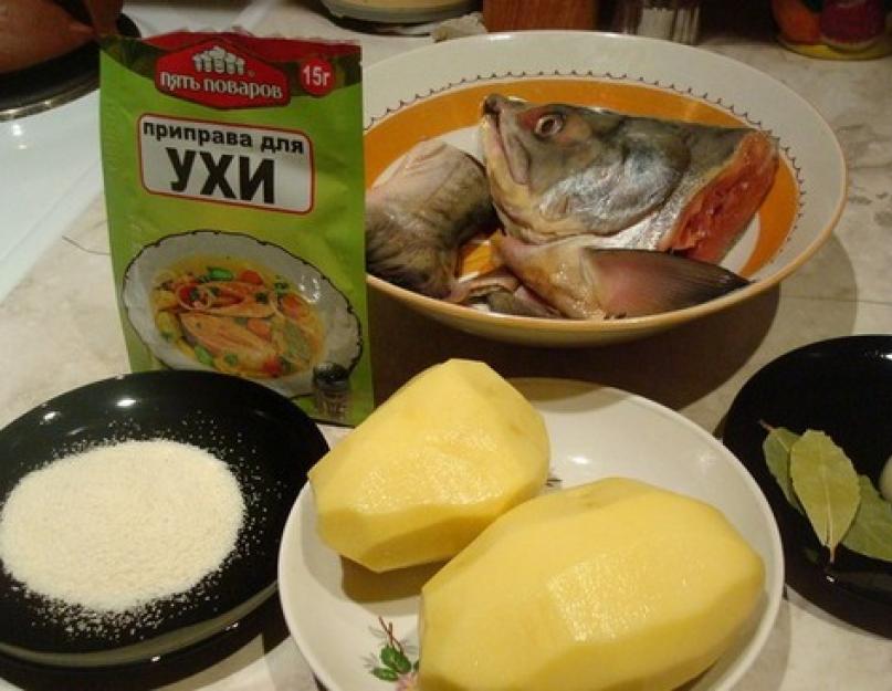 Рыбный суп из горбуши. Супы из горбуши — проверенные рецепты. Как правильно и вкусно приготовить суп из горбуши