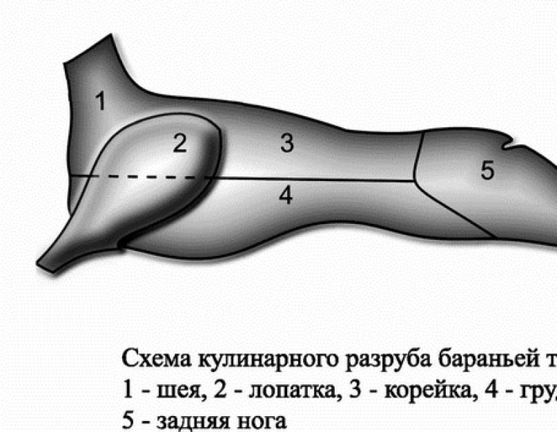 Схема разделки бараньей туши с названиями частей