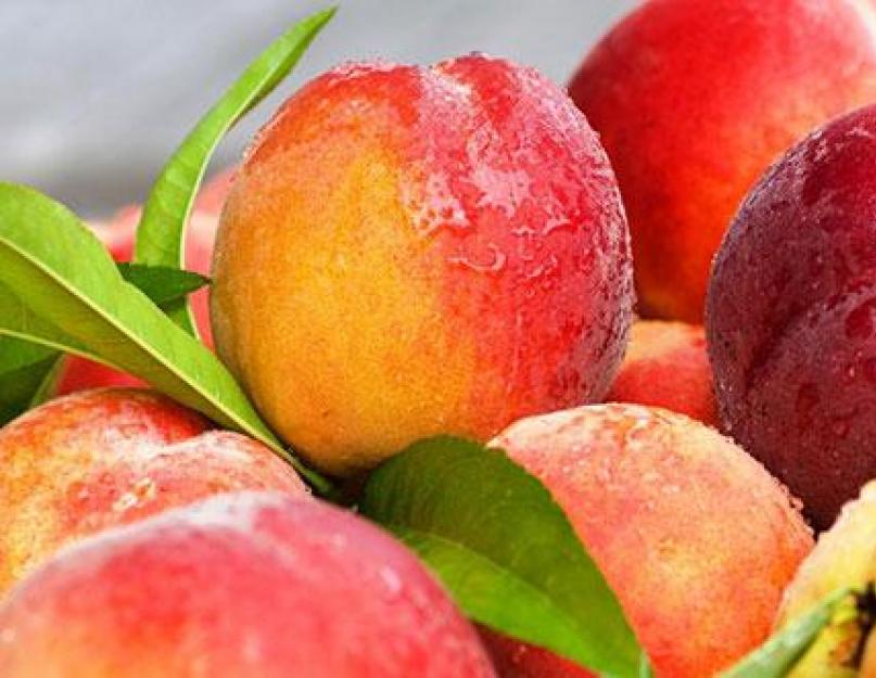 Варенье из персиков на зиму: простой рецепт с фото. Персиковое варенье дольками