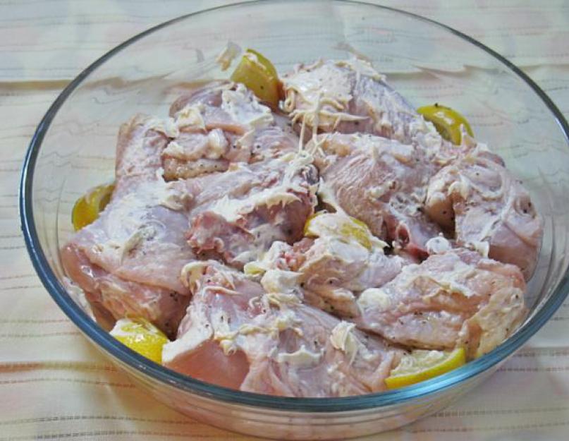 Шашлык из курицы: выбор мяса, рецепт маринада и способы приготовления. Готовим куриный шашлык быстро и вкусно