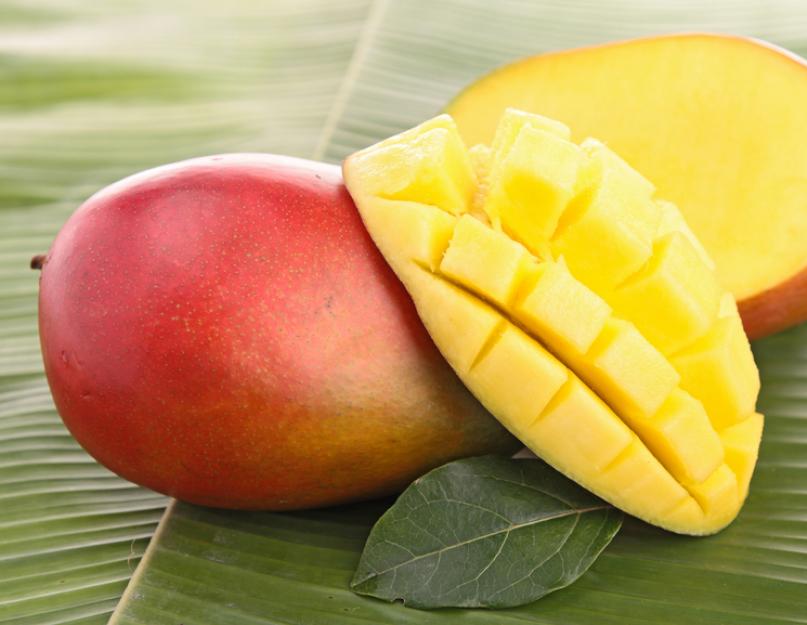 Все самое интересное о манго: польза, вред, нюансы употребления. Экзотический плод манго — состав, полезные свойства для здоровья и применение
