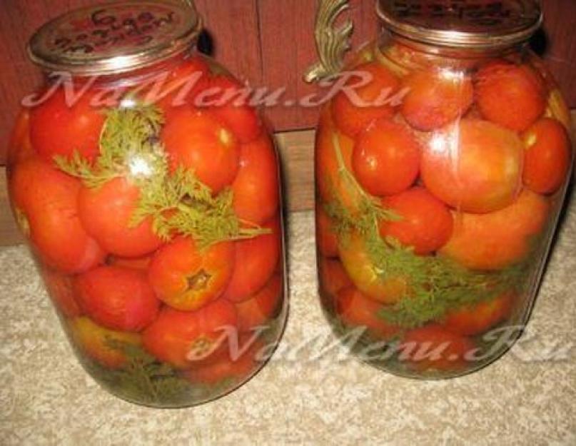Соленые помидоры с ботвой моркови. Применение в народной медицине. Как приготовить маринованные помидоры с морковной ботвой на зиму