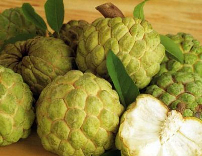 Зеленый плод с пупырышками название. Мушмула (El Nispero) — вкусный и полезный фрукт