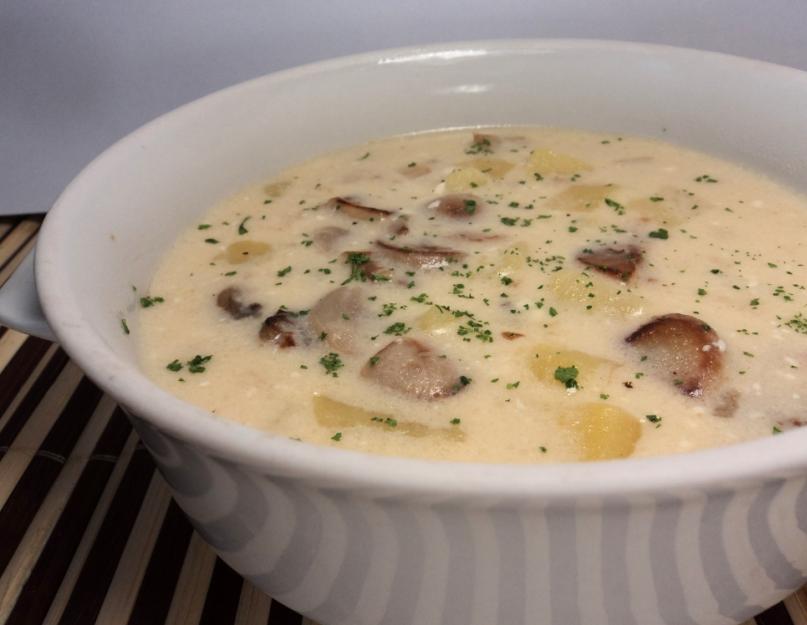 Рецепт сырного супа из плавленного сыра с курицей. Куриный суп с плавленым сыром – первое блюдо со сливочным вкусом. Лучшие рецепты куриного супа с плавленым сыром