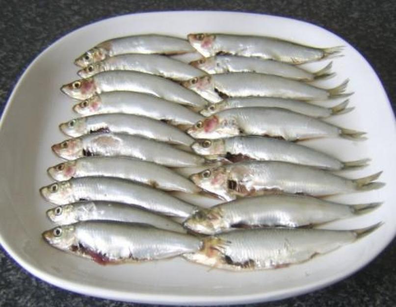 Шпроты из мелкой рыбы домашнего приготовления. Как приготовить шпроты в домашних условиях: рецепт и советы