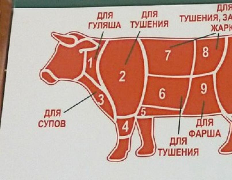 Части говядины. Разделка говядины. Схема разруба говядины. Лучшая часть мяса говядины