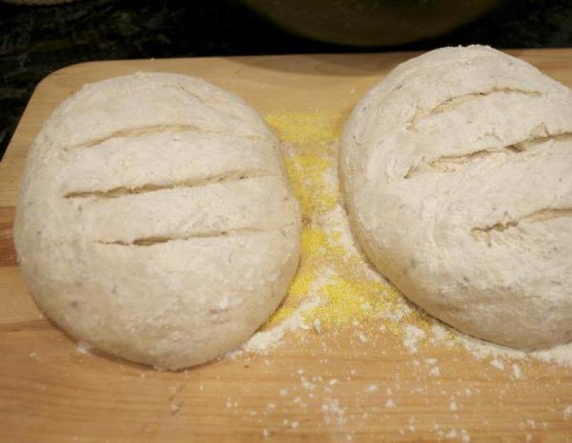 Как правильно приготовить ржаной хлеб. В духовке, хлеб. Хлеб из ржаной муки в мультиварке