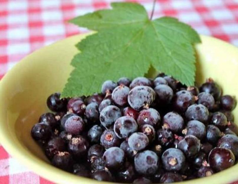 Groseilles surgelées.  Méthodes de congélation des groseilles rouges pour l'hiver.  Recettes de groseilles : les meilleures façons de congeler les groseilles pour l'hiver