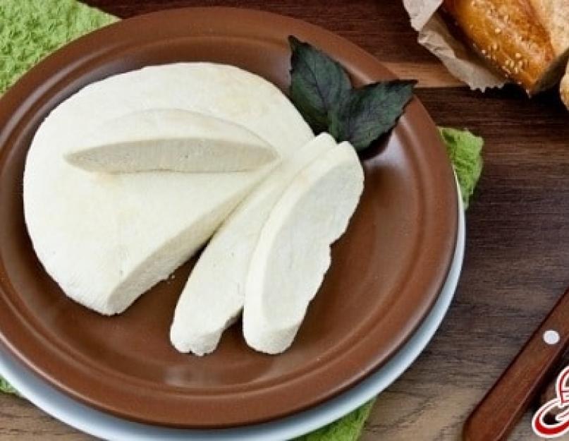 Плавленый сыр из творога в домашних условиях. Домашний плавленый сыр 