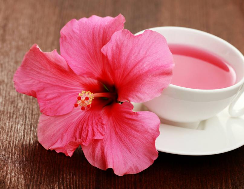 Propriétés bénéfiques et nocives du thé d'hibiscus.  Renforce le système immunitaire.  Thé d'hibiscus - qu'est-ce que c'est ?