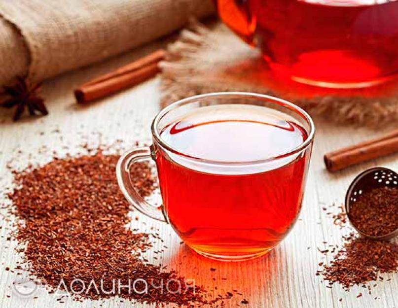  Чай ройбуш — польза и вред для здоровья
