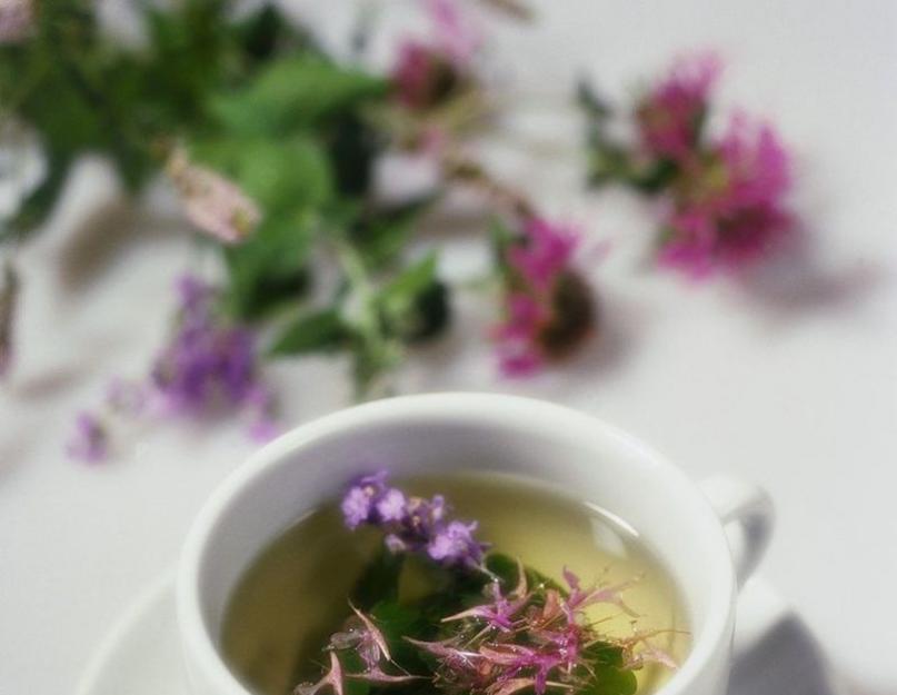 Сбор полезных трав для чая. Подборка лучших травяных чаев по старинным рецептам. Как выбрать травяной чай