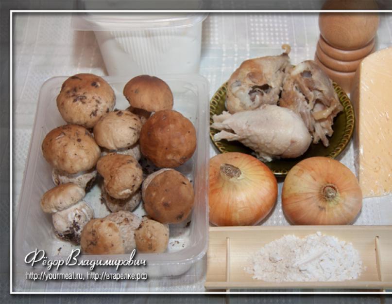 Жюльен из белых грибов. Жульен с курицей и грибами: классический рецепт приготовления жульена в духовке с фото